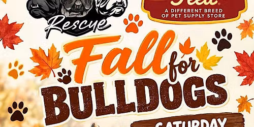 Fall for Bulldogs