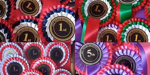  Unaffiliated Show Jumping OPEN TO ALL 