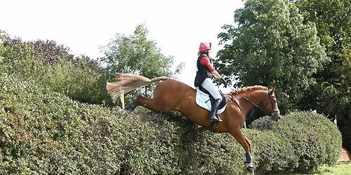 Winter Polework Series with BHS Accredited Professional Coach- Christie Mott