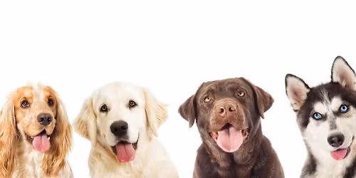 Grand Opening & Ribbon Cutting