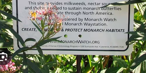 \ud83c\udf38 Pollinator Garden Planting Day at the Farmstand! \ud83c\udf3f