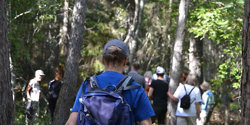 Tema: Arrangemang p\u00e5 annans mark