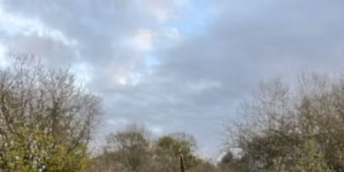 2025 Christmas Tree Farm Opening