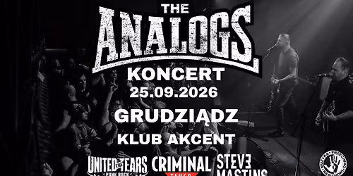 GRUDZI\u0104DZ: 25.09.2026: THE ANALOGS + The United Tears + Criminal Tango + Steve Martins- Klub Akcent