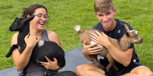 Goat Snuggling, including our Highland calf, Marsala!