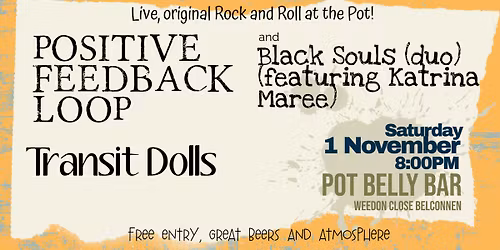 POSITIVE FEEDBACK LOOP, TRANSIT DOLLS and BLACK SOULS at the POT.
