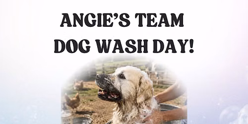 Angie's Dog Wash Day