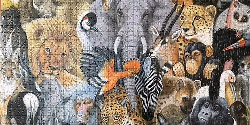 Puzzle Swap Party