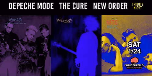 The Cure, Depeche Mode, New Order Tribute Night - Bellingham - Wild Buffalo