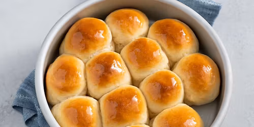 Bread Basics: Homemade Dinner Rolls