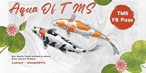 \ud83d\udd2530% Discount On All Fishes\ud83d\udd25