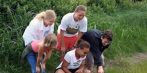 Salt Marsh Explorers
