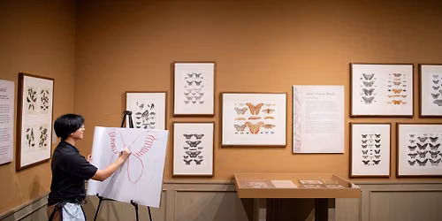 The Art of Science: Drawing Butterflies & Moths