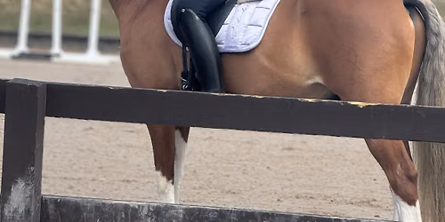 Dressage Dreams at Kellenbrook Farms