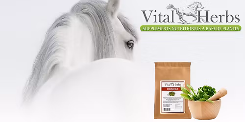 Equita Lyon - Stand Vital'Herbs