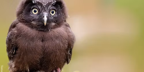 Utkl\u00e4dningsworkshop (inf\u00f6r 23 maj)