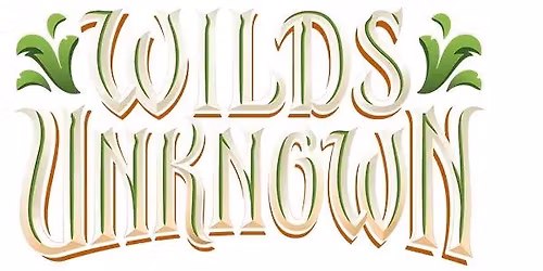 Lorcana Wilds Unknown Sealed Prerelease Event