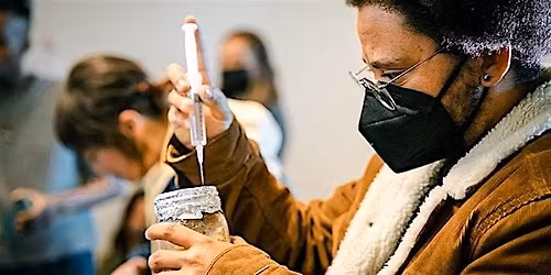 The Shroomshop: Mushroom Cultivation for Beginners