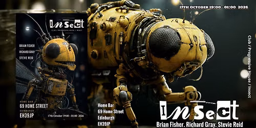 Insect