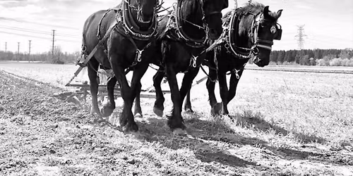 Old Fashioned Plow Day