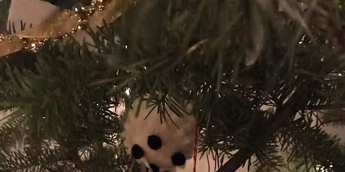 Christmas Day Holy Communion