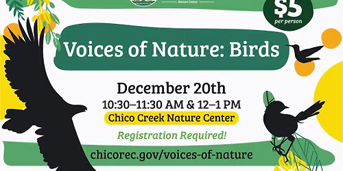 Voices of Nature: Birds