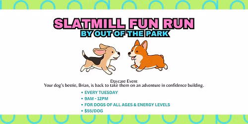 Doggy Slatmill Fun Run