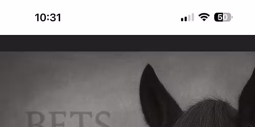 Third Annual Women\u2019s Weekend at Wild Horse