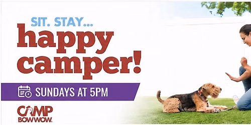 Puppy Group Training Classes (Sundays)