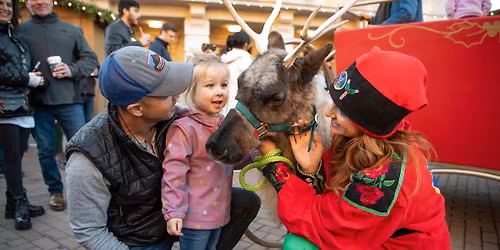 Holidays in Carmel Kick-Off