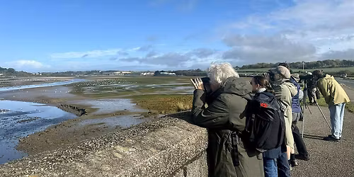 Quiet Birdwatching Meet Up