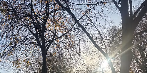 Newark parkrun - Alternative Course Practice 