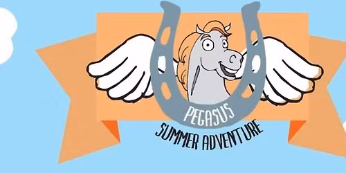 Pegasus Riding Academy Summer Adventure 