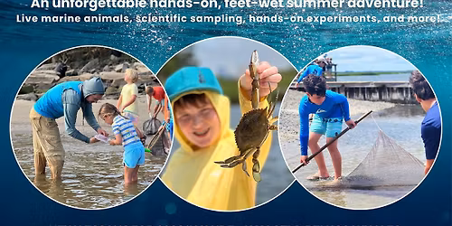 Marine Science Camp @ Point Pleasant