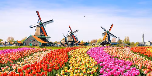 Amsterdam: Day Trip to Keukenhof Gardens - Daily