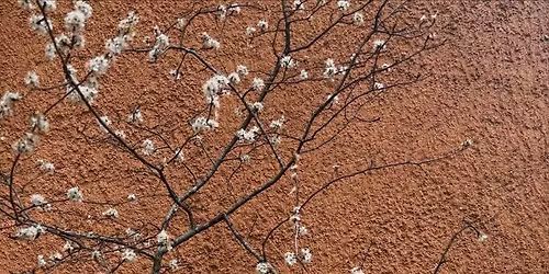 Vildplocket firar 1 \u00c5R & V\u00c5R i Aspudden