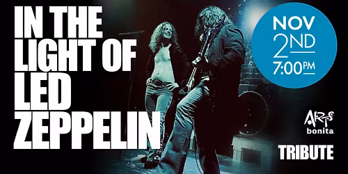 In the Light of Ledd Zepplin