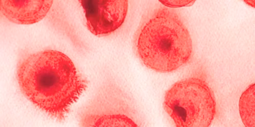 Bloody Brilliant: Art & Science of What Runs Through Us
