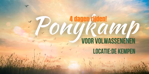 Ponykamp voor Volwassenen. 4 dagen rijden in De Kempen