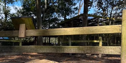 Sensory-Friendly Hour