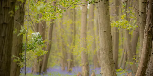 Conscious Connected Breathwork with Lyndsey & Anna