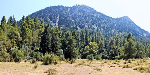 \u039a\u0391\u039d\u03a4\u0397\u039b\u0399 \u0395\u03a5\u0392\u039f\u0399\u0391\u03a3