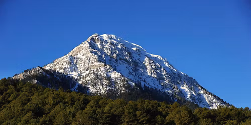 \u039f\u03a1\u039f\u03a3 \u03a0\u0395\u039d\u03a4\u0395\u039b\u0395\u0399\u0391 (\u039d\u03a4\u039f\u03a5\u03a1\u039d\u03a4\u039f\u03a5\u0392\u0391\u039d\u0391)