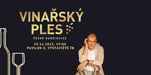 Vina\u0159sk\u00fd ples