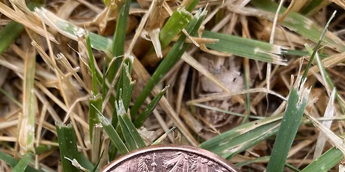 GabriOwl's Birthdaze Party!!