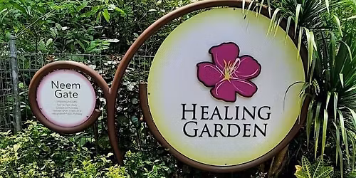 \u65b0\u52a0\u5761\u690d\u7269\u56ed\u7597\u6108\u56ed\u6e38\u89c8 (\u4e2d\u6587\u8bb2\u89e3) SBG Healing Gardens Tour in Mandarin