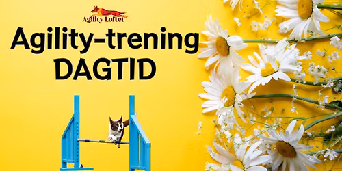 Agility - trening DAGTID