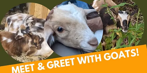 Meet and Greet with Goats at Chugiak-Eagle River