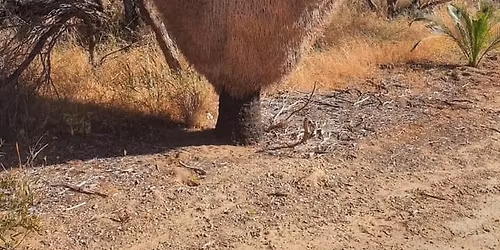 Kwinana Loop Trail - Leda to Chalk Hill