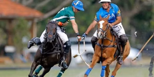 Polo and picnic